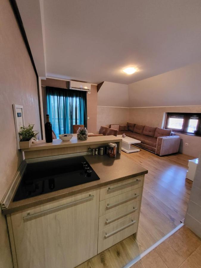 Apartman Crown Vrnjačka Banja Buitenkant foto