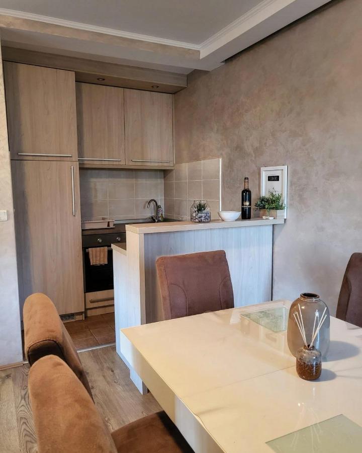 Apartman Crown Vrnjačka Banja Buitenkant foto