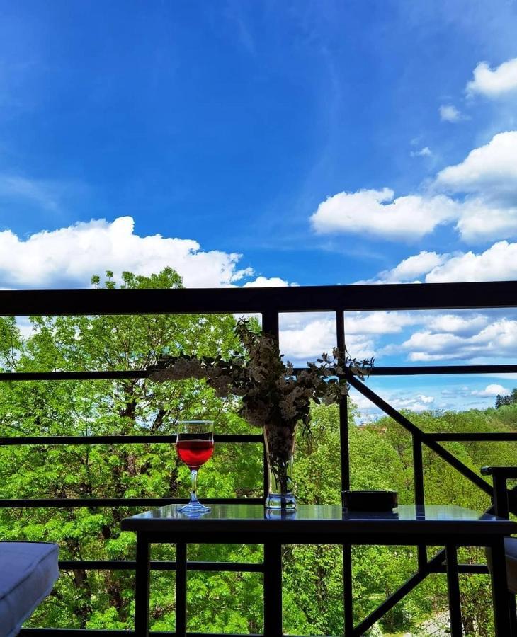 Apartman Crown Vrnjačka Banja Buitenkant foto