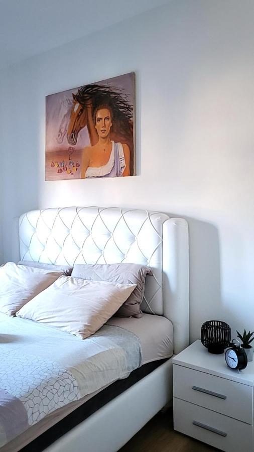 Apartman Crown Vrnjačka Banja Buitenkant foto