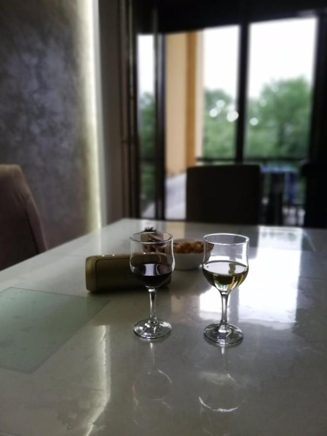 Apartman Crown Vrnjačka Banja Buitenkant foto